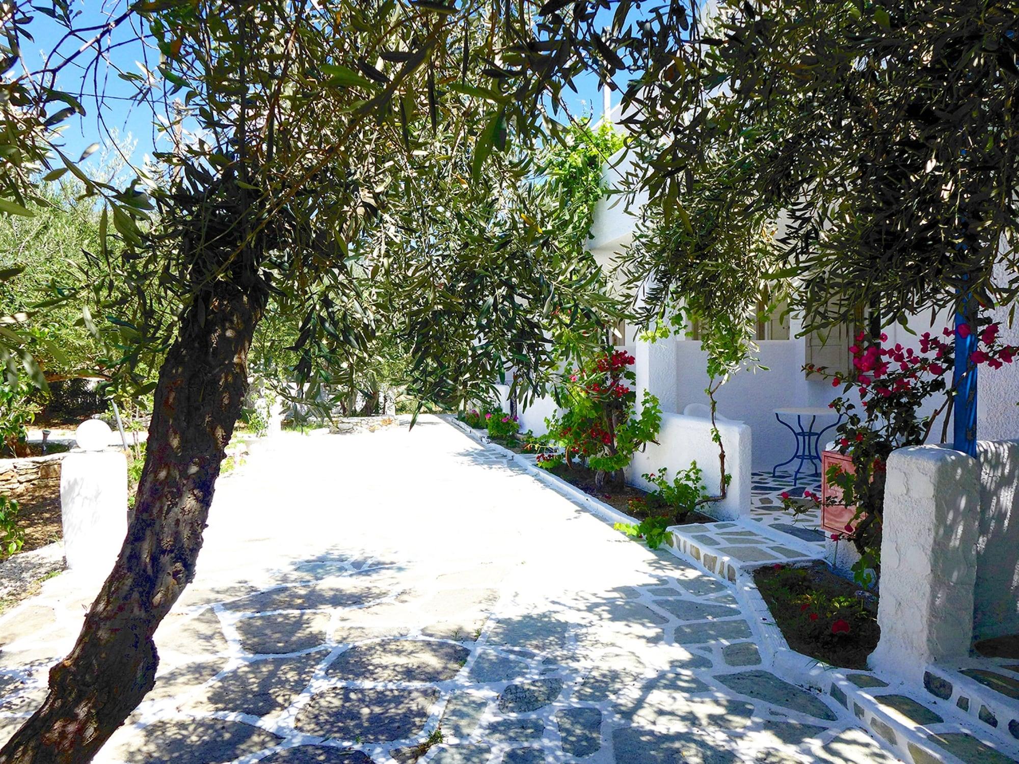 Amaryllis Beach Hotel Chrisi Akti  Esterno foto